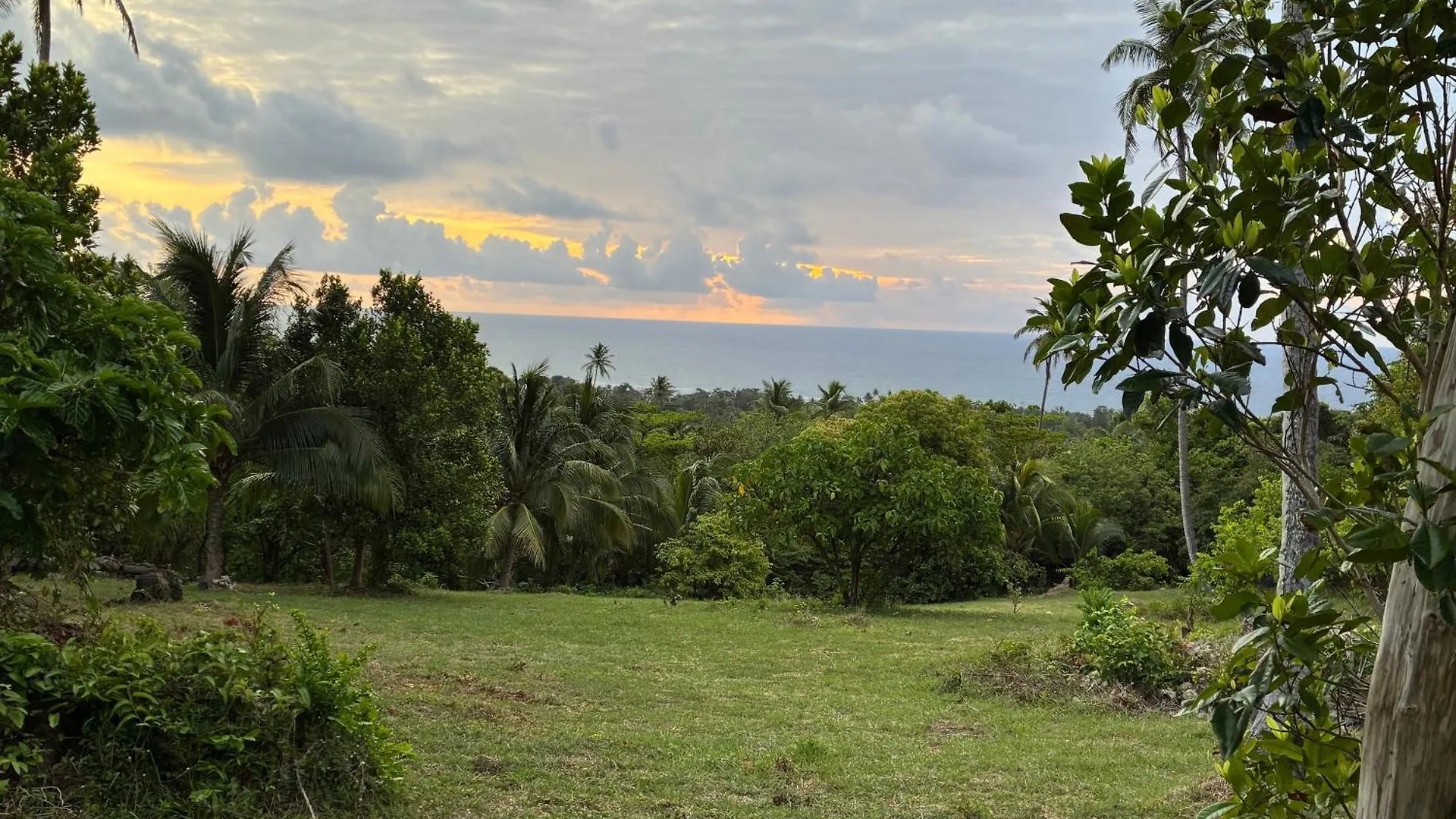 Apartment Star Apple Inn San Andres