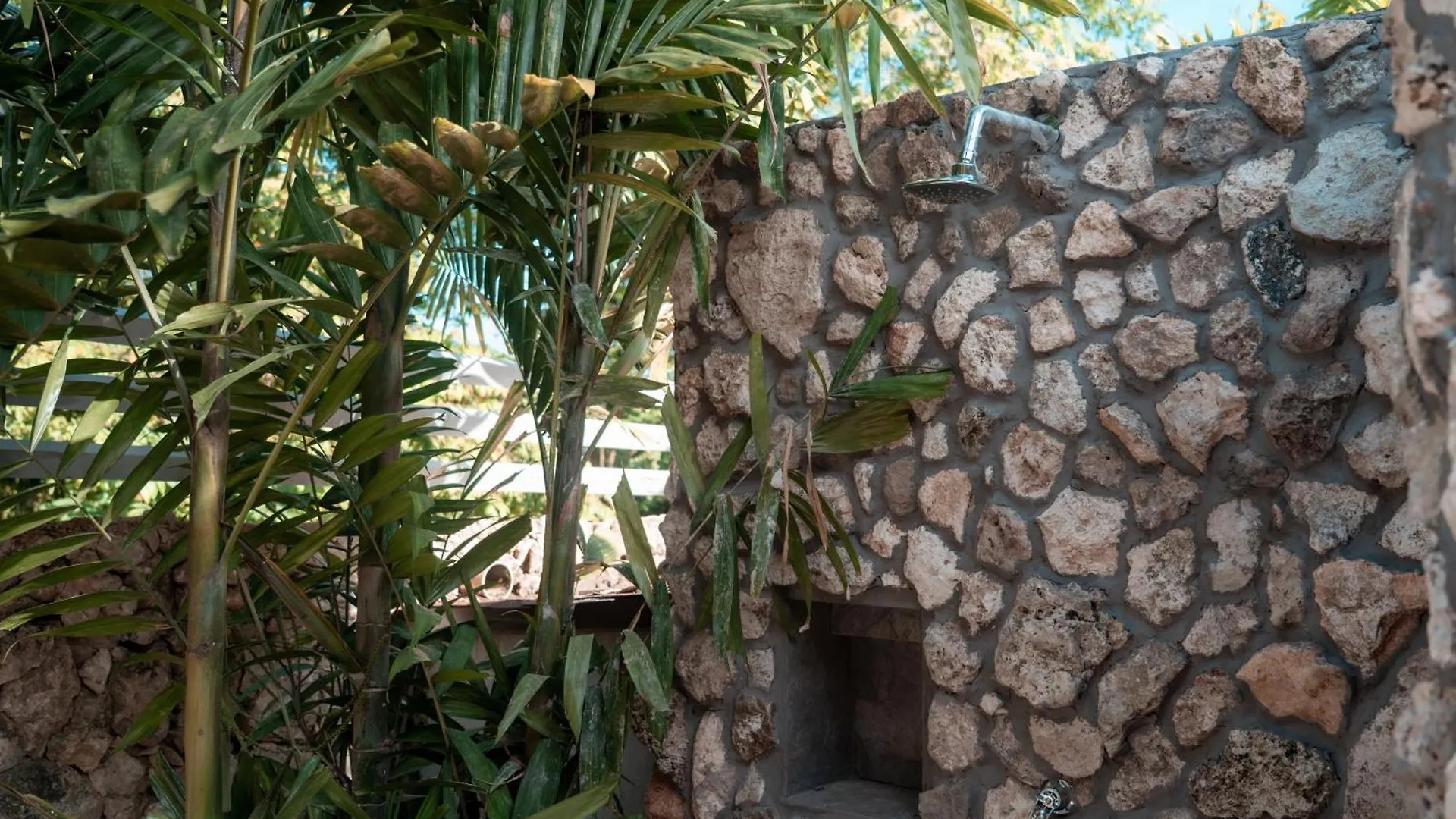 Star Apple Inn San Andres  Apartment San Andres (San Andres and Providencia Islands)