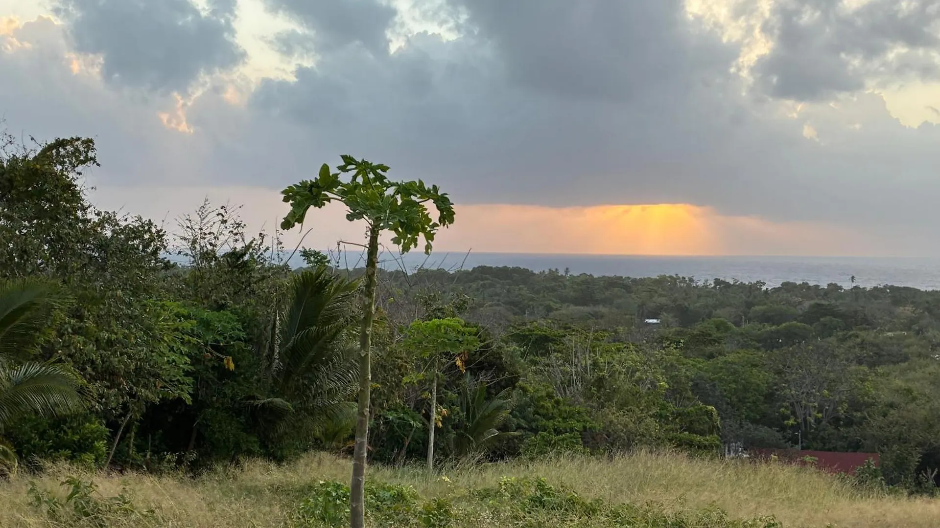 Apartment Star Apple Inn San Andres