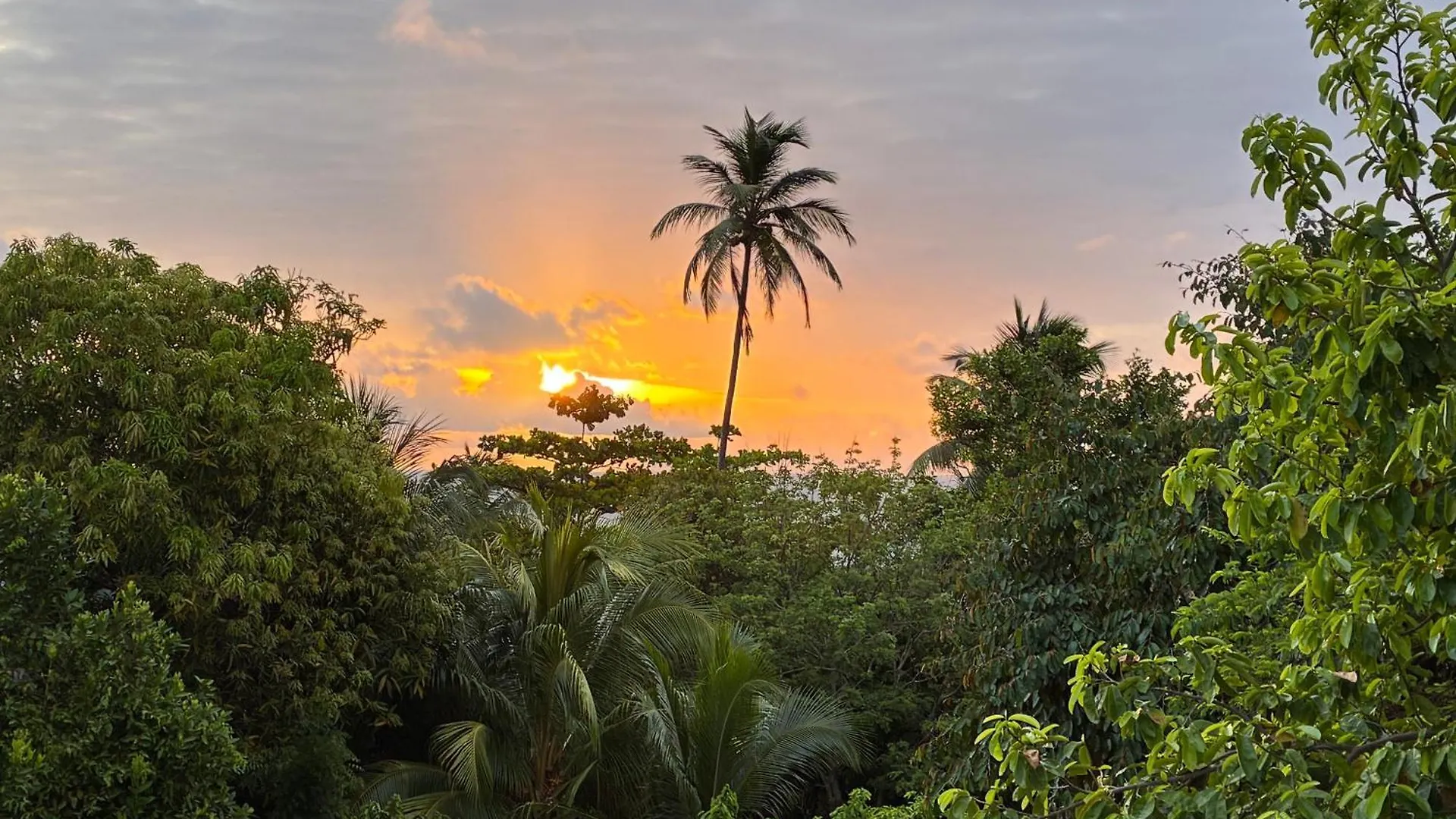 Star Apple Inn San Andres  Apartment San Andres (San Andres and Providencia Islands)