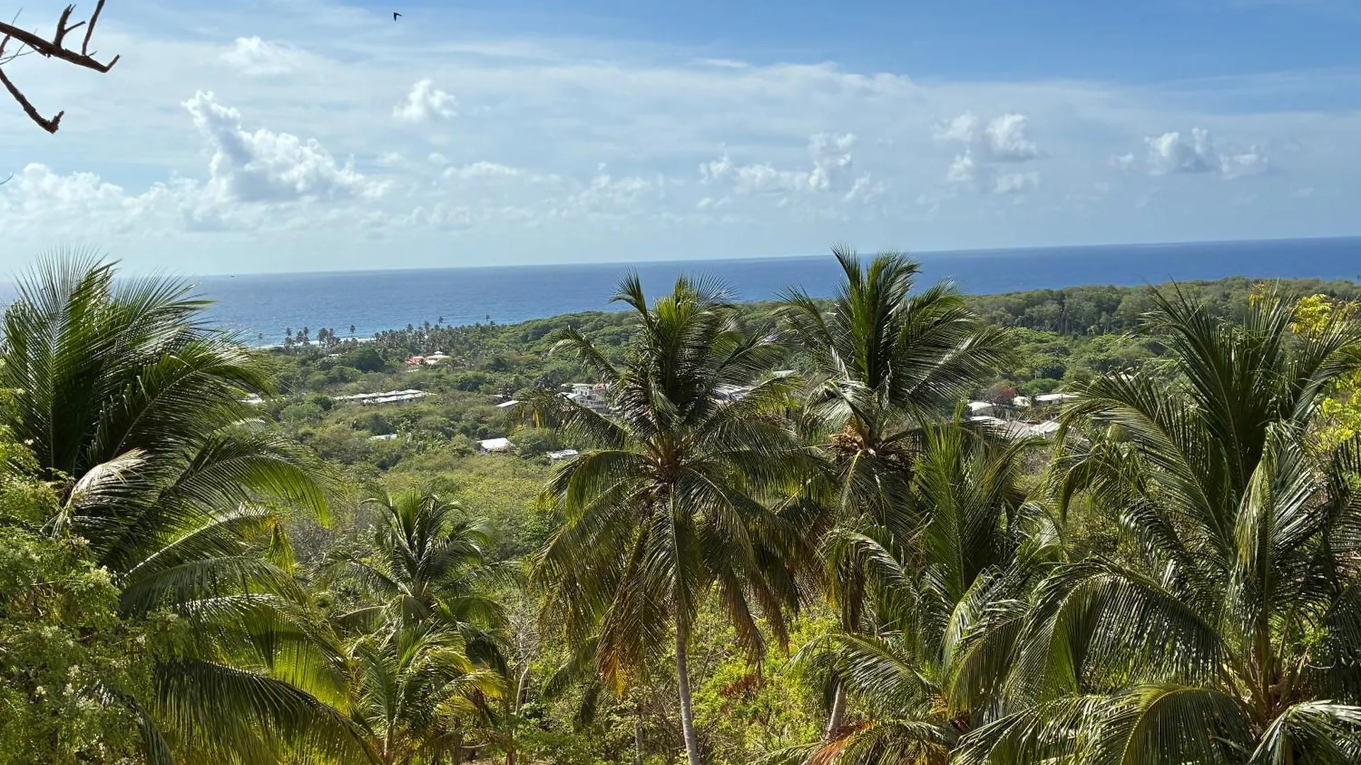 Star Apple Inn San Andres  0*, San Andres (San Andres and Providencia Islands) Colombia