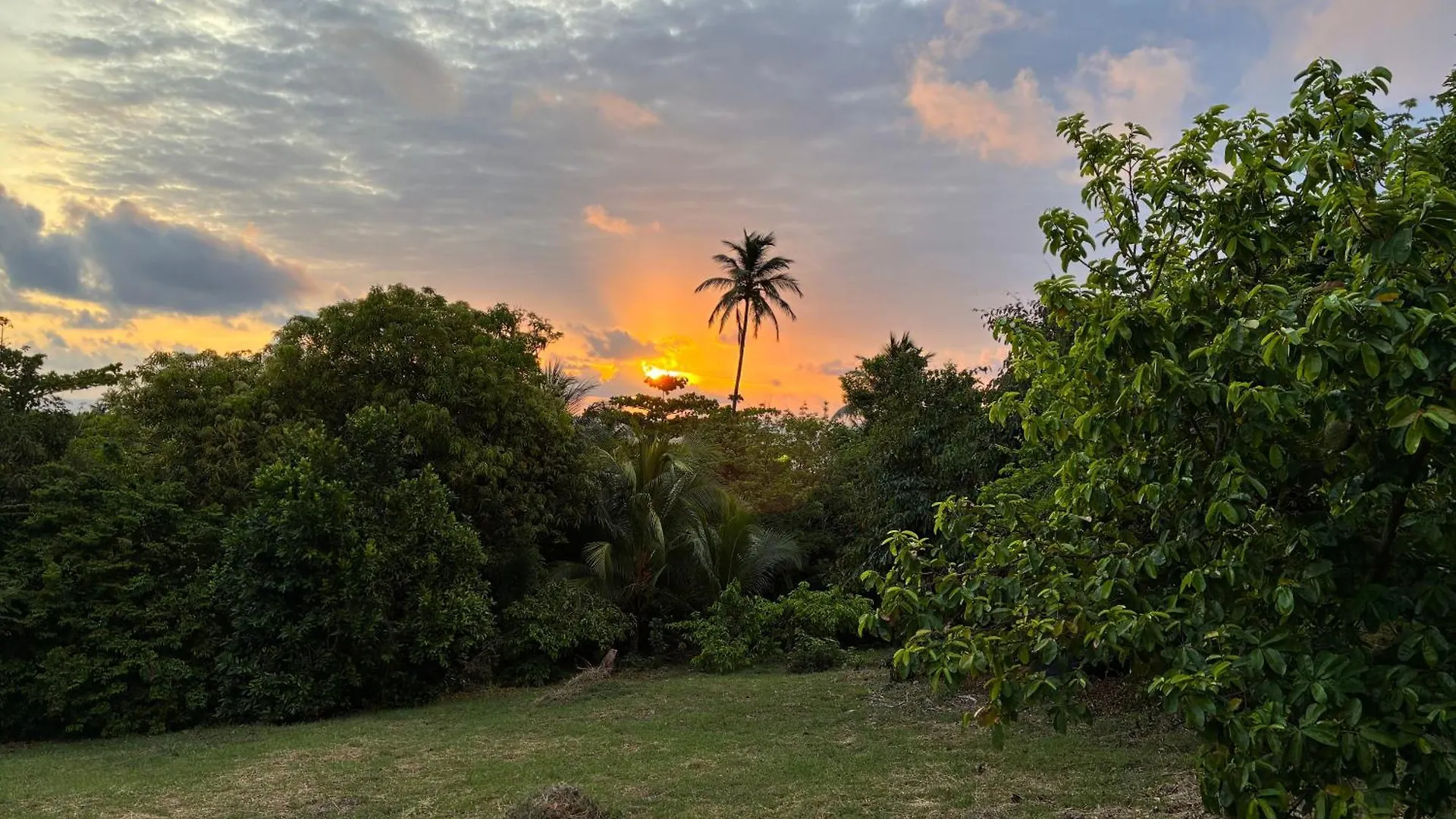 Star Apple Inn San Andres  Apartment San Andres (San Andres and Providencia Islands)